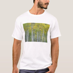Autumn aspens in McClure pass in Colorado. T-Shirt