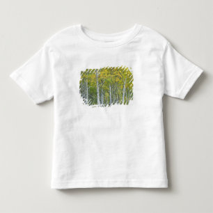 Autumn aspens in McClure pass in Colorado. Toddler T-Shirt