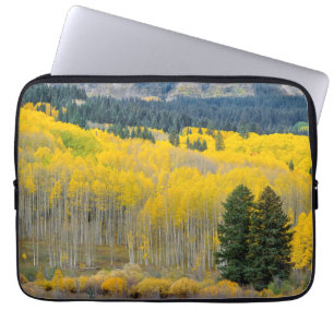 Autumn Aspens in the Ruby Range Laptop Sleeve