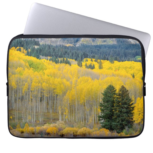 Autumn Aspens in the Ruby Range Laptop Sleeve (Front)