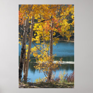 Autumn at Bear Lake Poster