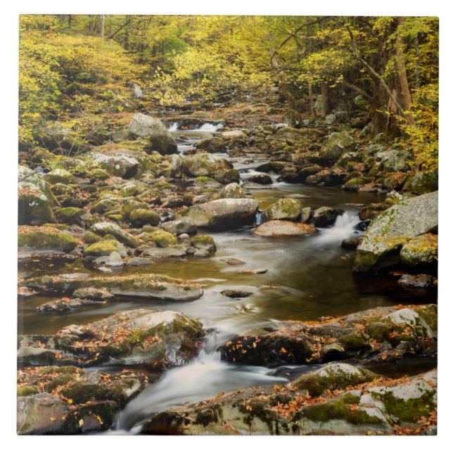Autumn at Big Creek Ceramic Tile (Front)