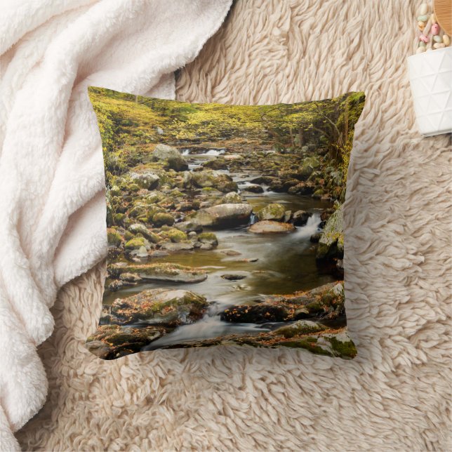 Autumn at Big Creek Cushion (Blanket)