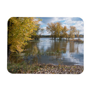 Autumn at Black Dog Lake Magnet