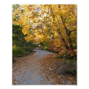 Autumn at Botanical Garden in Madison Photo Print