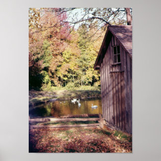 Autumn at Bronte Creek Poster