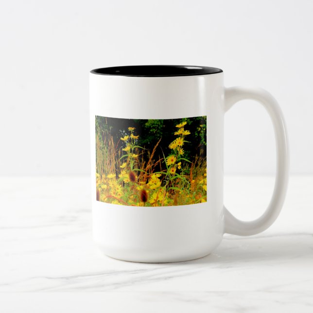 Autumn At Carriage Hill #9 Two-Tone Coffee Mug (Right)