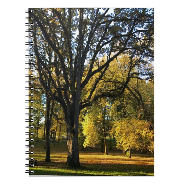 Autumn at Champoeg State Park, OR Notebook (Front)