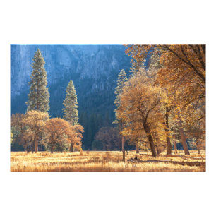 Autumn at Meadow Photo Print