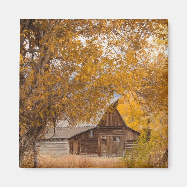 Autumn at Mormon Row Magnet (Front)