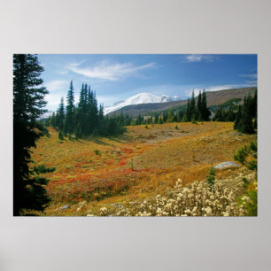 Autumn at Rainier Poster