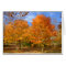 Autumn At Silver Lake #6