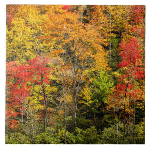 Autumn at Sims Pond North Carolina, Blue Ridge Ceramic Tile