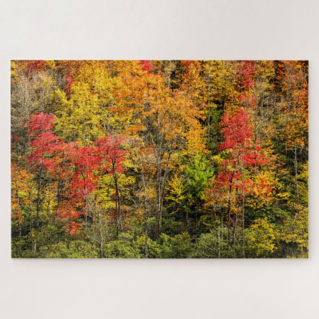 Autumn at Sims Pond North Carolina, Blue Ridge Jigsaw Puzzle (Horizontal)