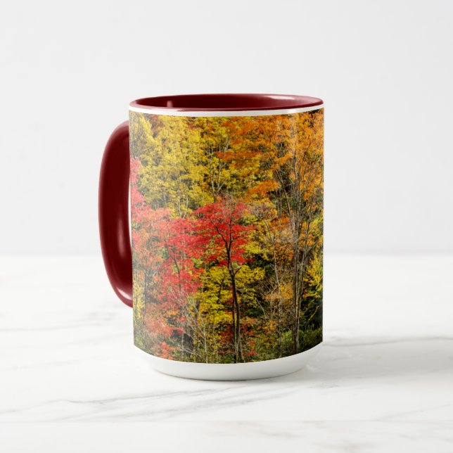 Autumn at Sims Pond North Carolina, Blue Ridge Mug (Front Left)