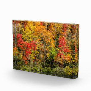 Autumn at Sims Pond North Carolina, Blue Ridge Photo Block