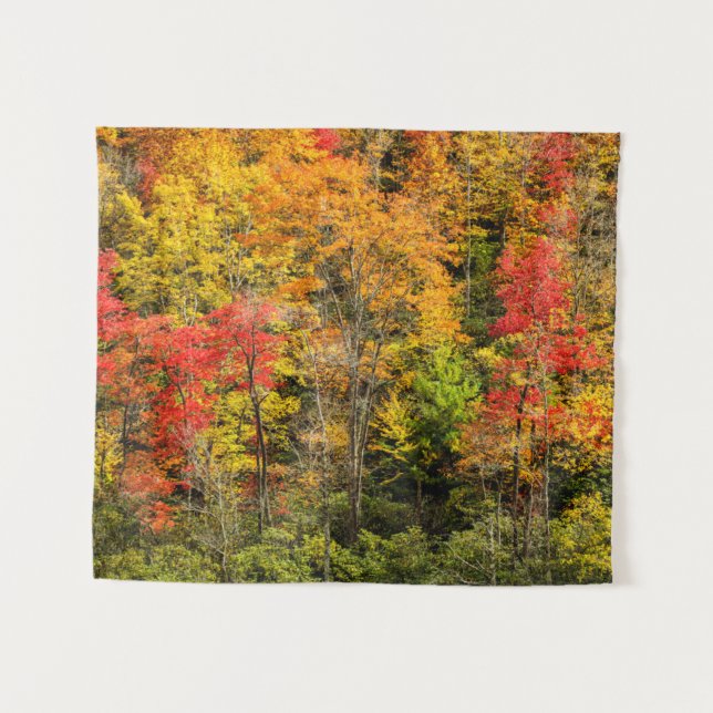 Autumn at Sims Pond North Carolina, Blue Ridge Tapestry (Front (Horizontal))