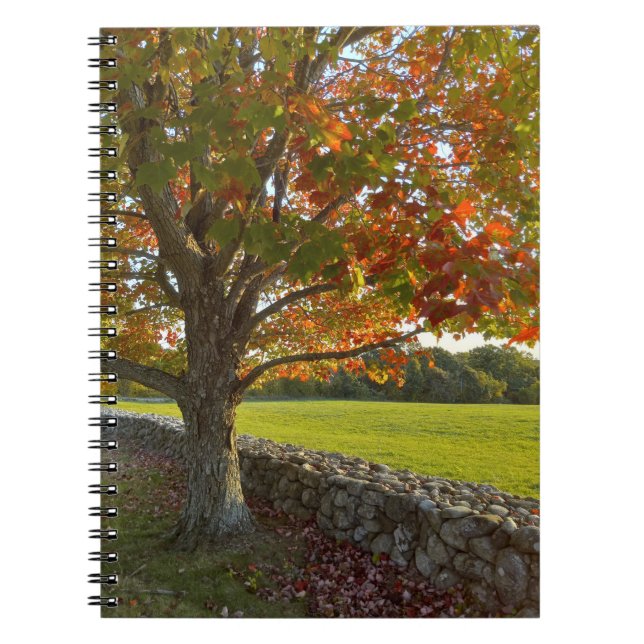 Autumn at Stone Wall Spiral Notebook (Front)
