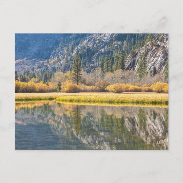 Autumn at the Lake Postcard (Front)