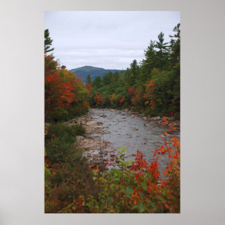 Autumn at the River Poster