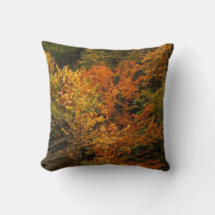 Autumn at Treman State Park Cushion
