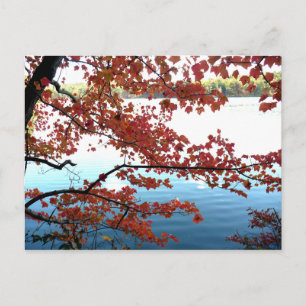Autumn at Walden Pond Postcard