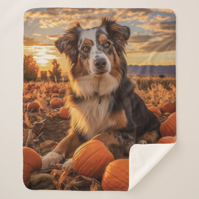 Autumn Australian Shepherd Sherpa Blanket (Front)
