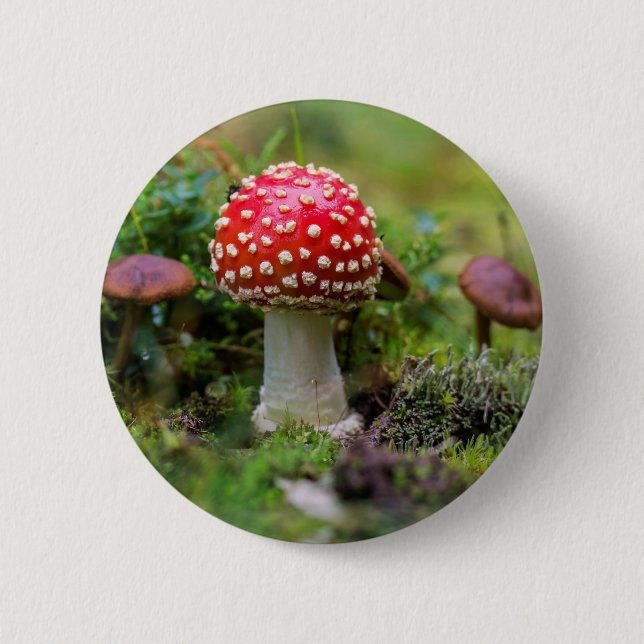 Autumn Beauty 6 Cm Round Badge (Front)