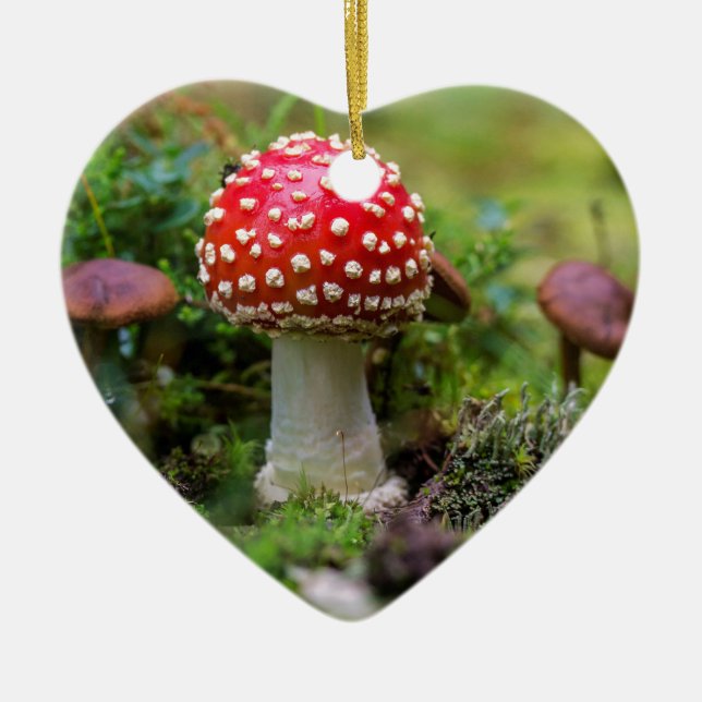 Autumn Beauty Ceramic Ornament (Front)