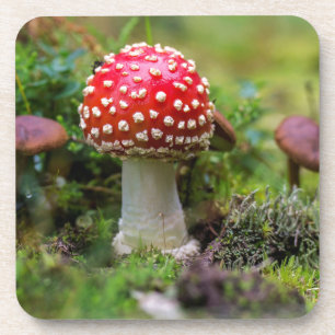 Autumn Beauty Coaster