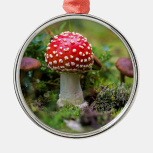 Autumn Beauty Metal Ornament