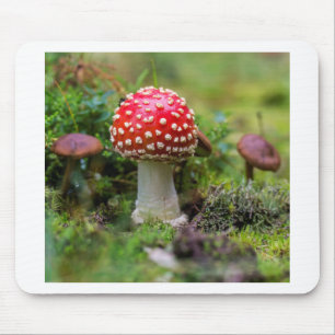 Autumn Beauty Mouse Pad