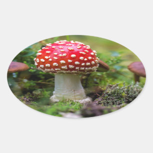 Autumn Beauty Oval Sticker