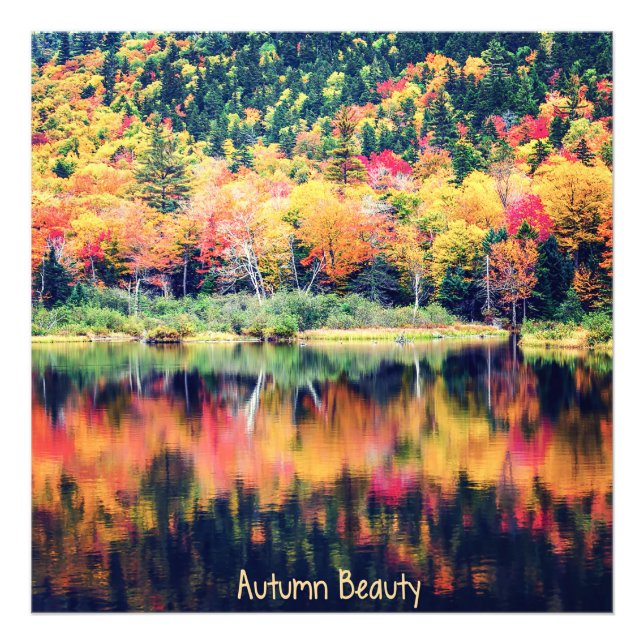 Autumn Beauty Photo Print (Front)