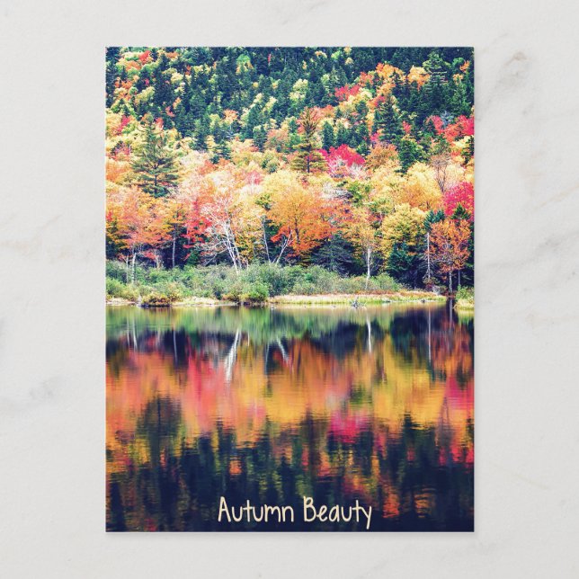 Autumn Beauty Postcard (Front)