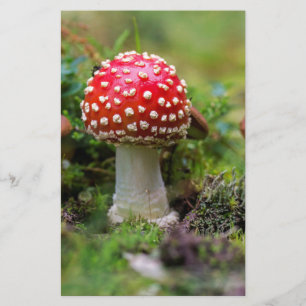 Autumn Beauty Stationery