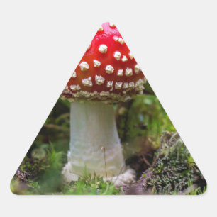 Autumn Beauty Triangle Sticker