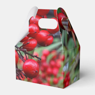 Autumn Berries Favour Box