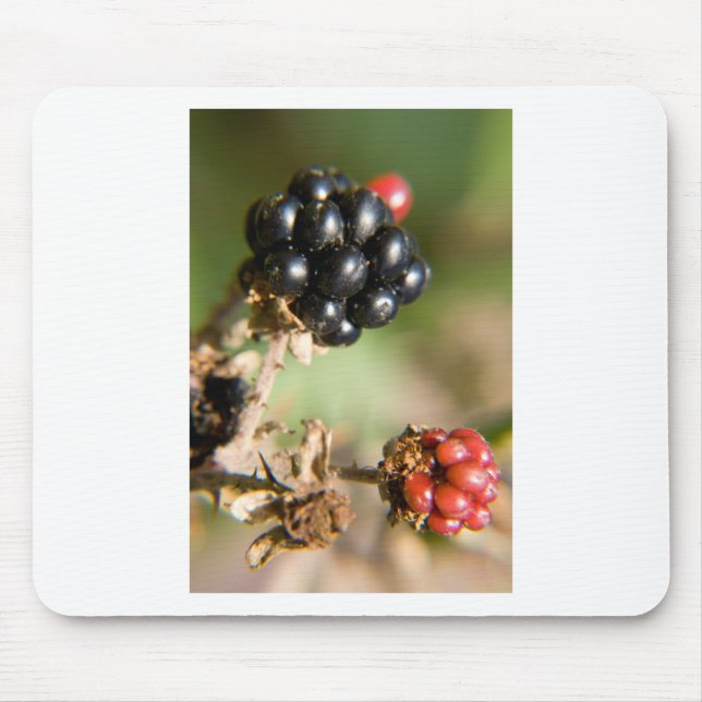 Autumn Berries Mouse Pad (Front)