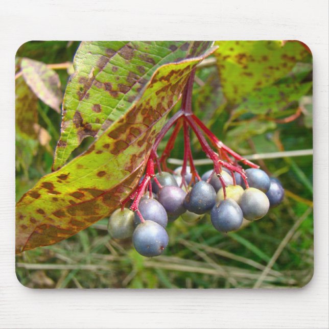 Autumn Berries Mouse Pad (Front)