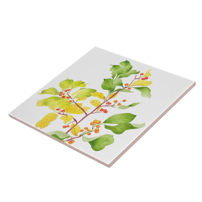 Autumn Berries on a Ceramic Tile (Side)