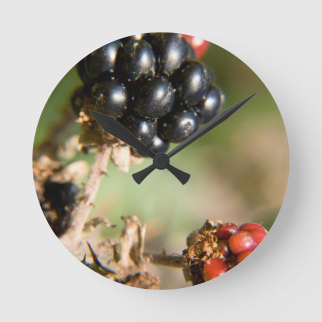 Autumn Berries Round Clock (Front)