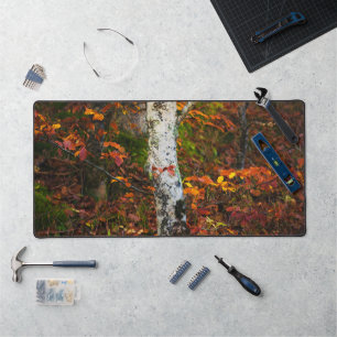 Autumn birch in mossy forest desk mat