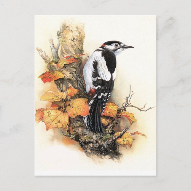 Autumn Bird Postcard (Front)