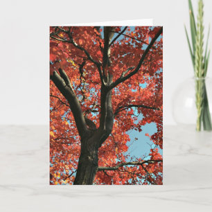 AUTUMN   (blank card) Card