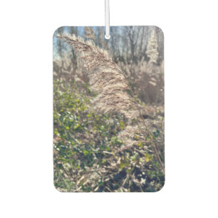 Autumn bliss.. car air freshener