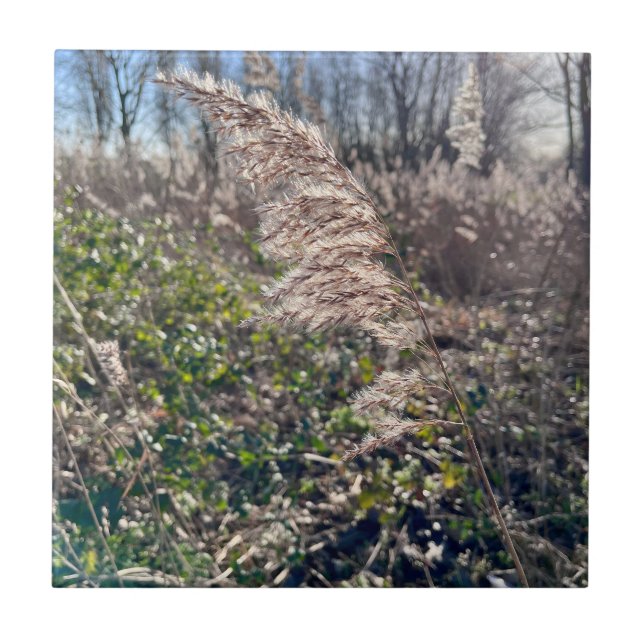 Autumn bliss.. ceramic tile (Front)