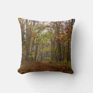 Autumn Bliss Cushion