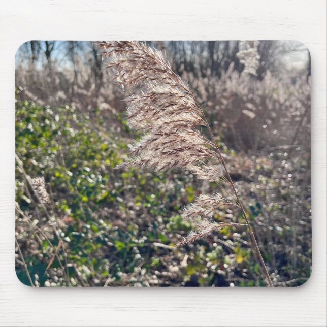 Autumn bliss.. mouse pad (Front)