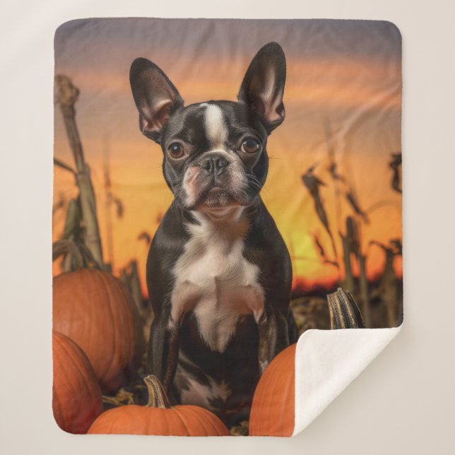 Autumn Boston Terrier Sherpa Blanket (Front)